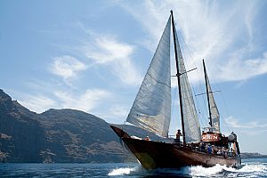 Boat trip to Los Gigantes with whale and dolphin watching