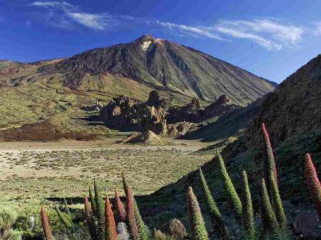 Tours & activities in Tenerife